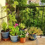 Апартаменты Marchie's Place - Spacious One Bedroom For Rent On Island *