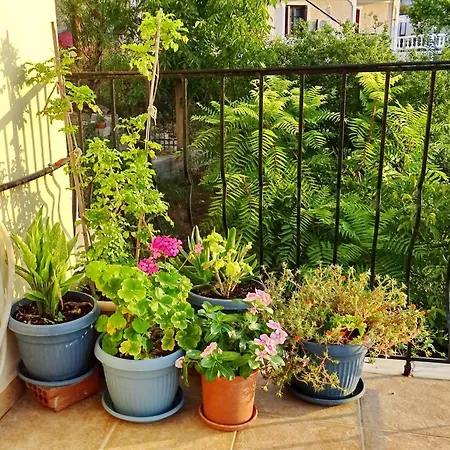Apartment Marchie's Place - Spacious One Bedroom For Rent On Island *