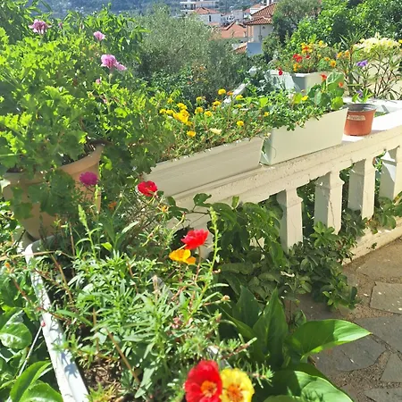 Marchie's Place - Spacious One Bedroom For Rent On Island