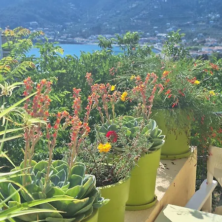 Апартаменты Marchie's Place - Spacious One Bedroom For Rent On Island Скопелос