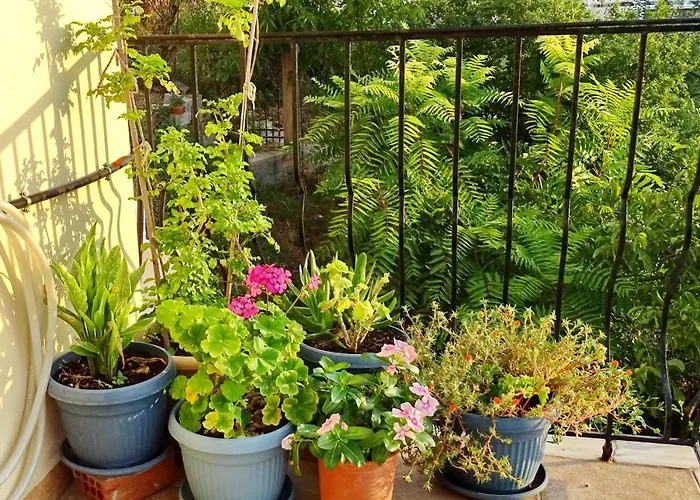 Apartament Marchie's Place - Spacious One Bedroom For Rent On Island *