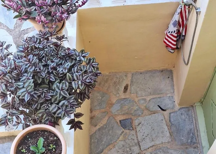 Marchie's Place - Spacious One Bedroom For Rent On Island Apartament *