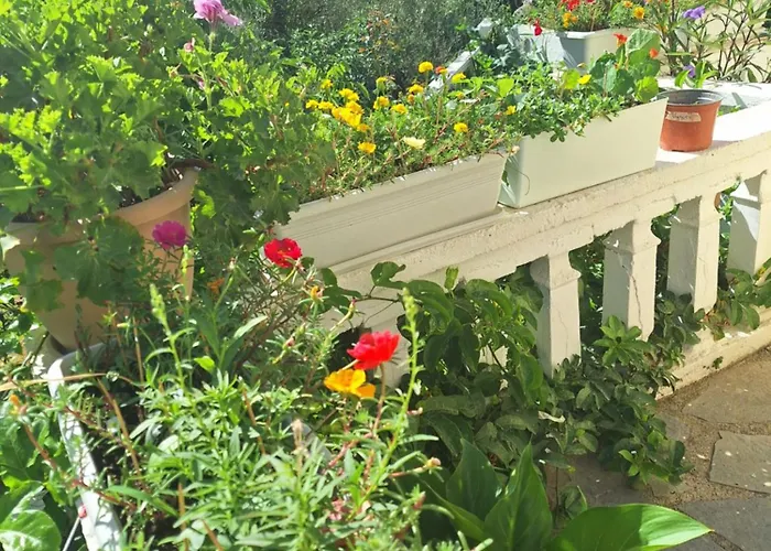 Marchie's Place - Spacious One Bedroom For Rent On Island