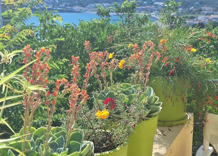 Apartament Marchie's Place - Spacious One Bedroom For Rent On Island